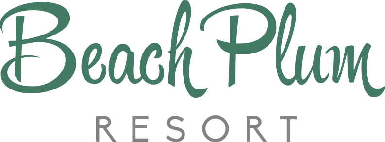 Beach Plum Resort « Ocean Bay Resorts + Properties